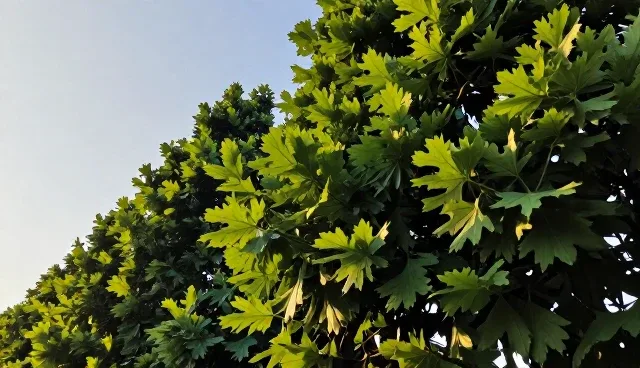 企业策划中沟通机制优化的关键问题与解决路径